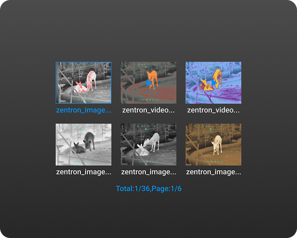 Zentron M6 PRO media library playback interface
